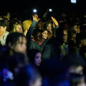 54390270433_e25d36d011_o